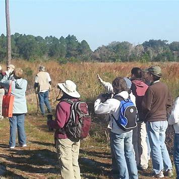 titusville birding festival