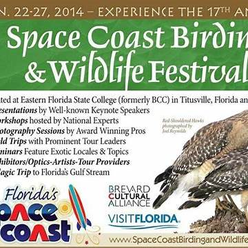 titusville birding festival