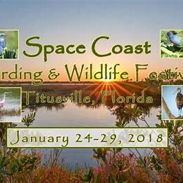 titusville birding festival